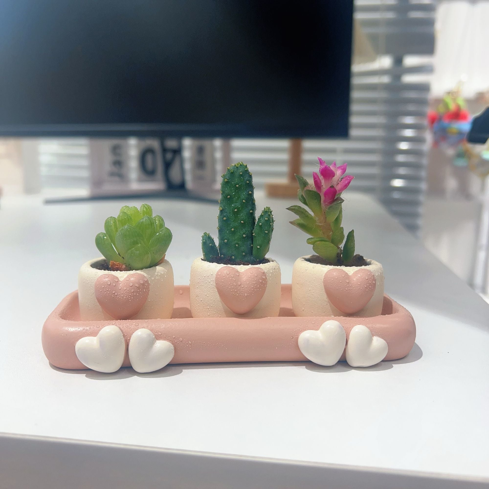 Mini Succulent Thumb Planter