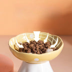 Elevated Ceramic Pet Feeding Bowl