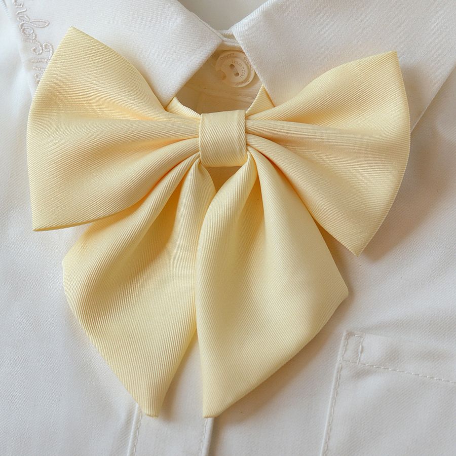 College Style Bow Tie - Modomu