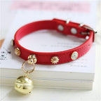 Minimalist Lifestyle Accessory Piece