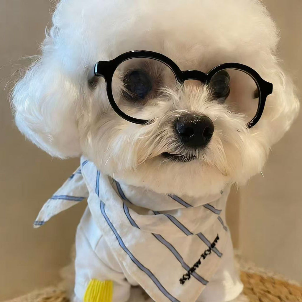 Small Dog Fashion Glasses