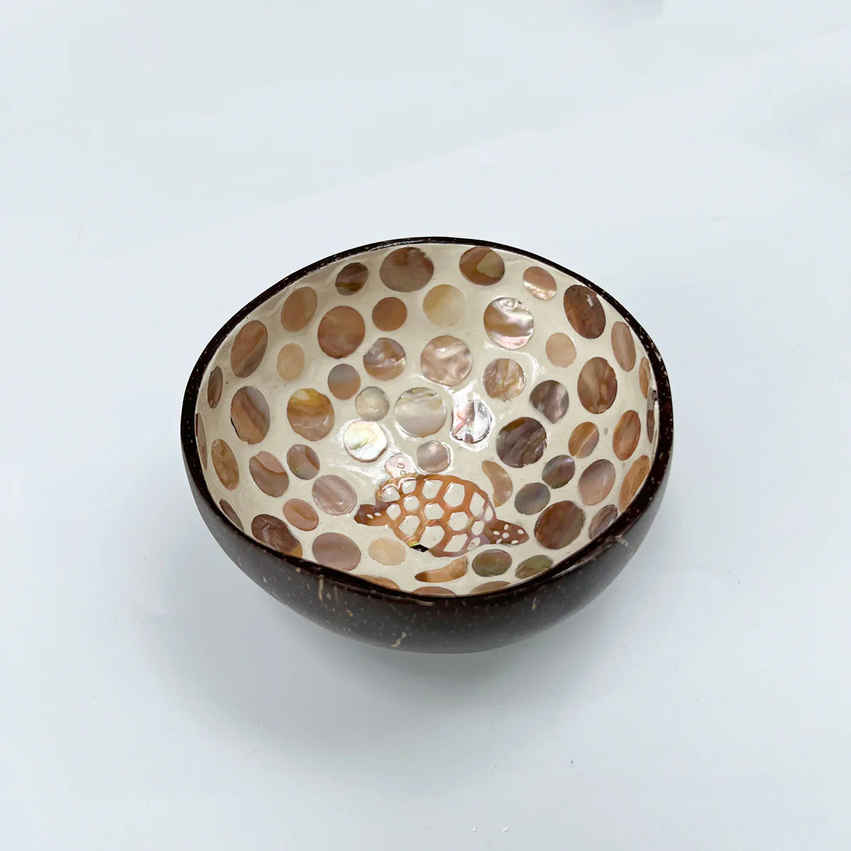 Coconut Base Shell Bowl