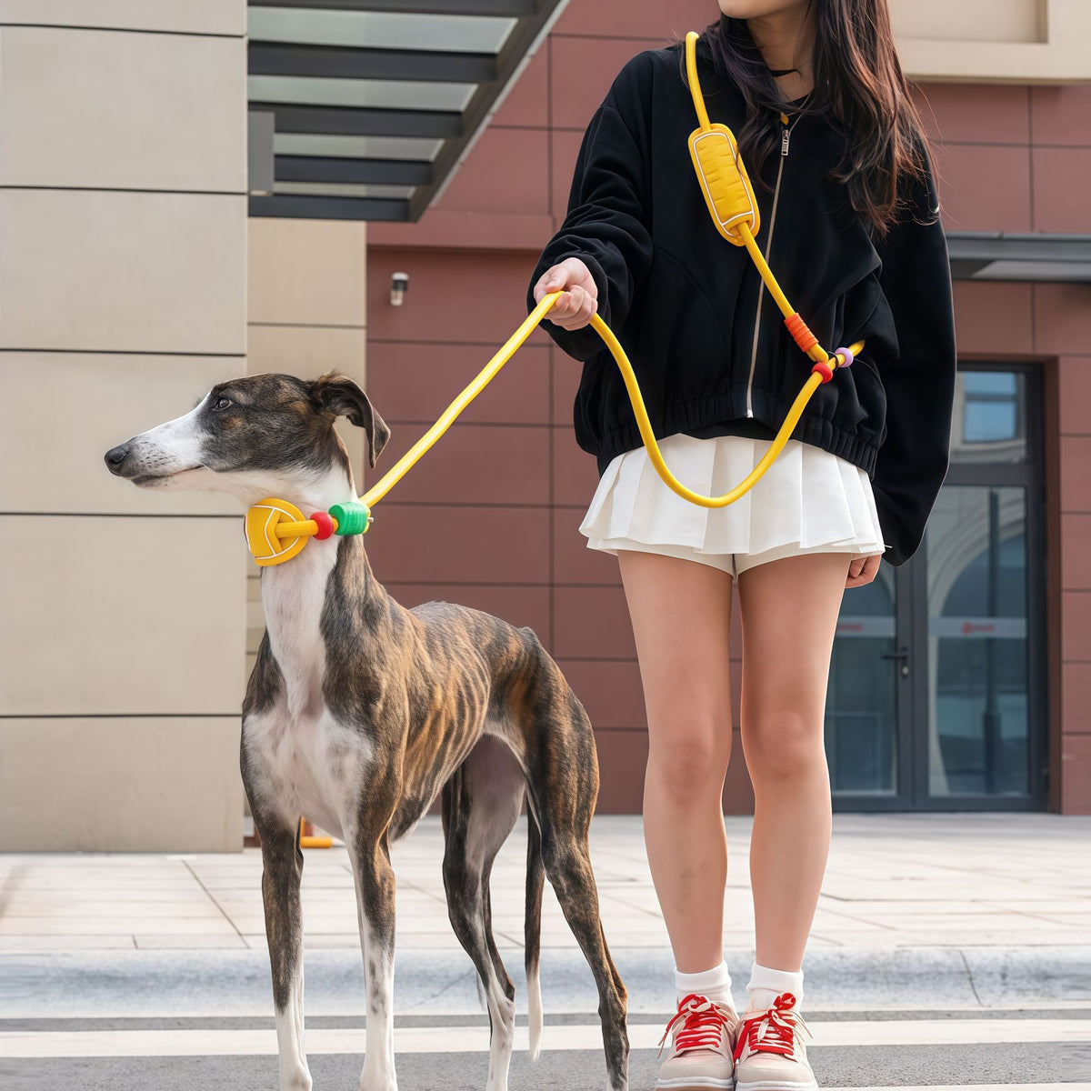Padded Slip Lead Leash