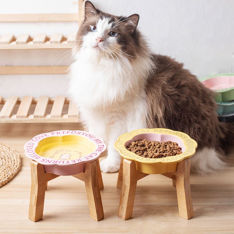 Elevated Ceramic Pet Food Bowl