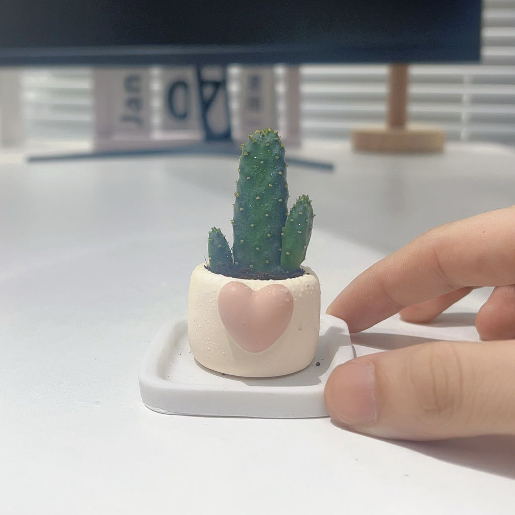 Mini Succulent Thumb Planter