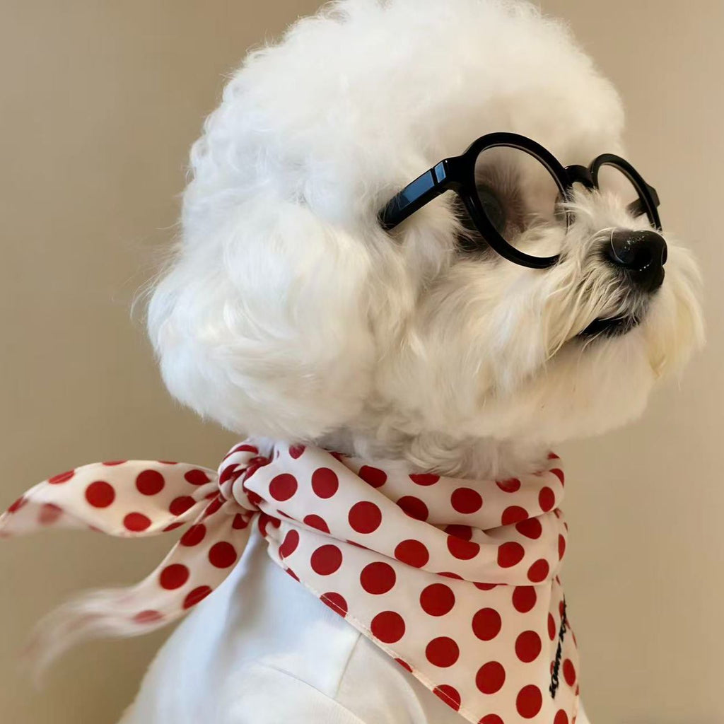 Small Dog Fashion Glasses
