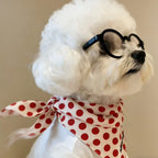 Small Dog Fashion Glasses