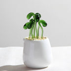 Glass Succulent Cactus Ornament - Modomu