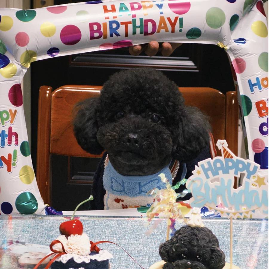 Balloon Polka Dot Photo Frame - Modomu