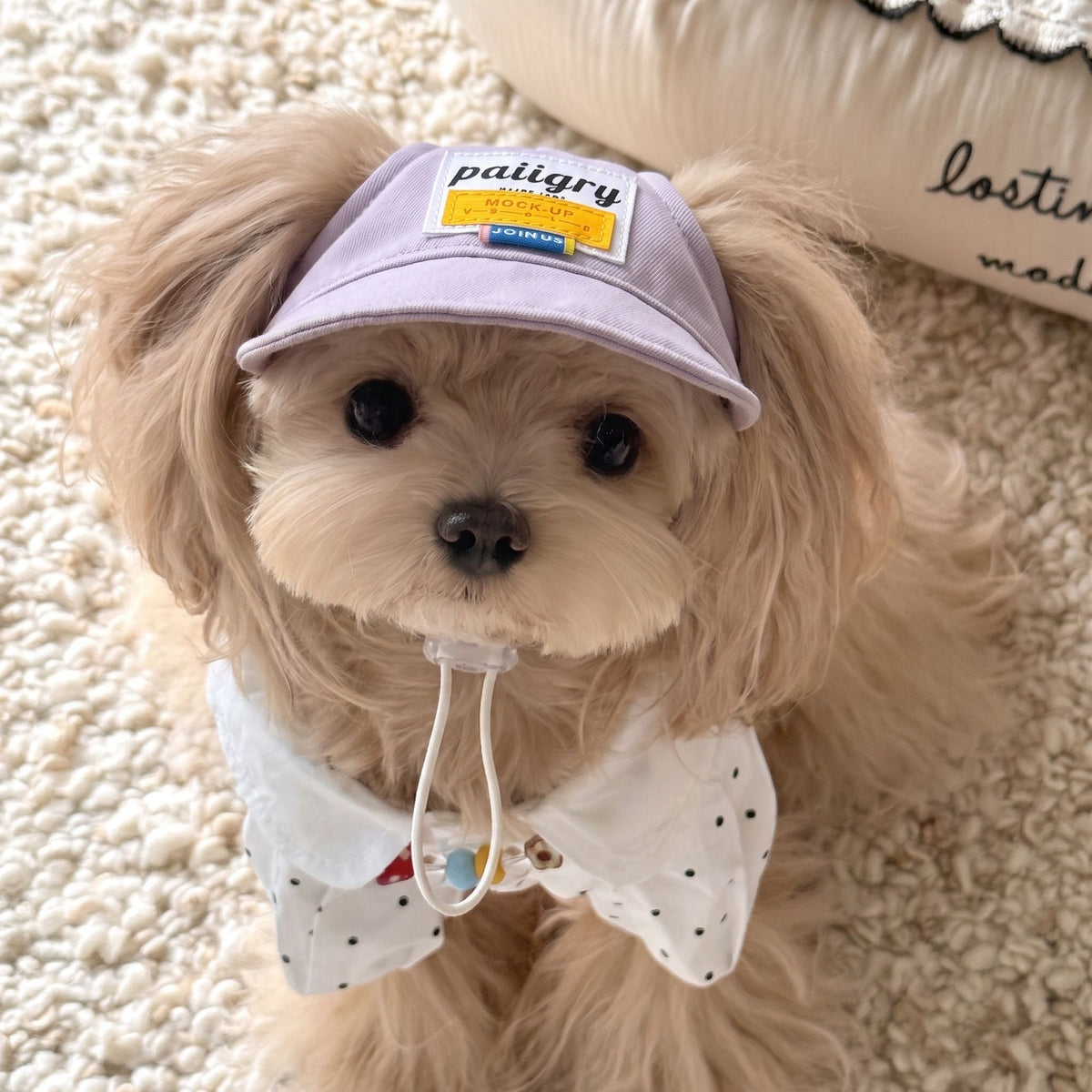 Ear Hole Pet Baseball Cap