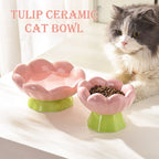 Ceramic Elevated Pet Food Bowl