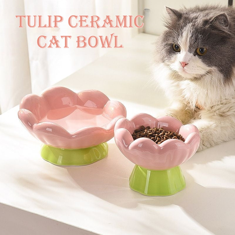 Ceramic Elevated Pet Food Bowl