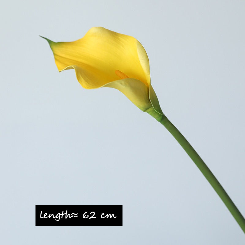 Long Stem Calla Lily Spray - Modomu