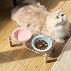 Elevated Ceramic Pet Feeding Bowl