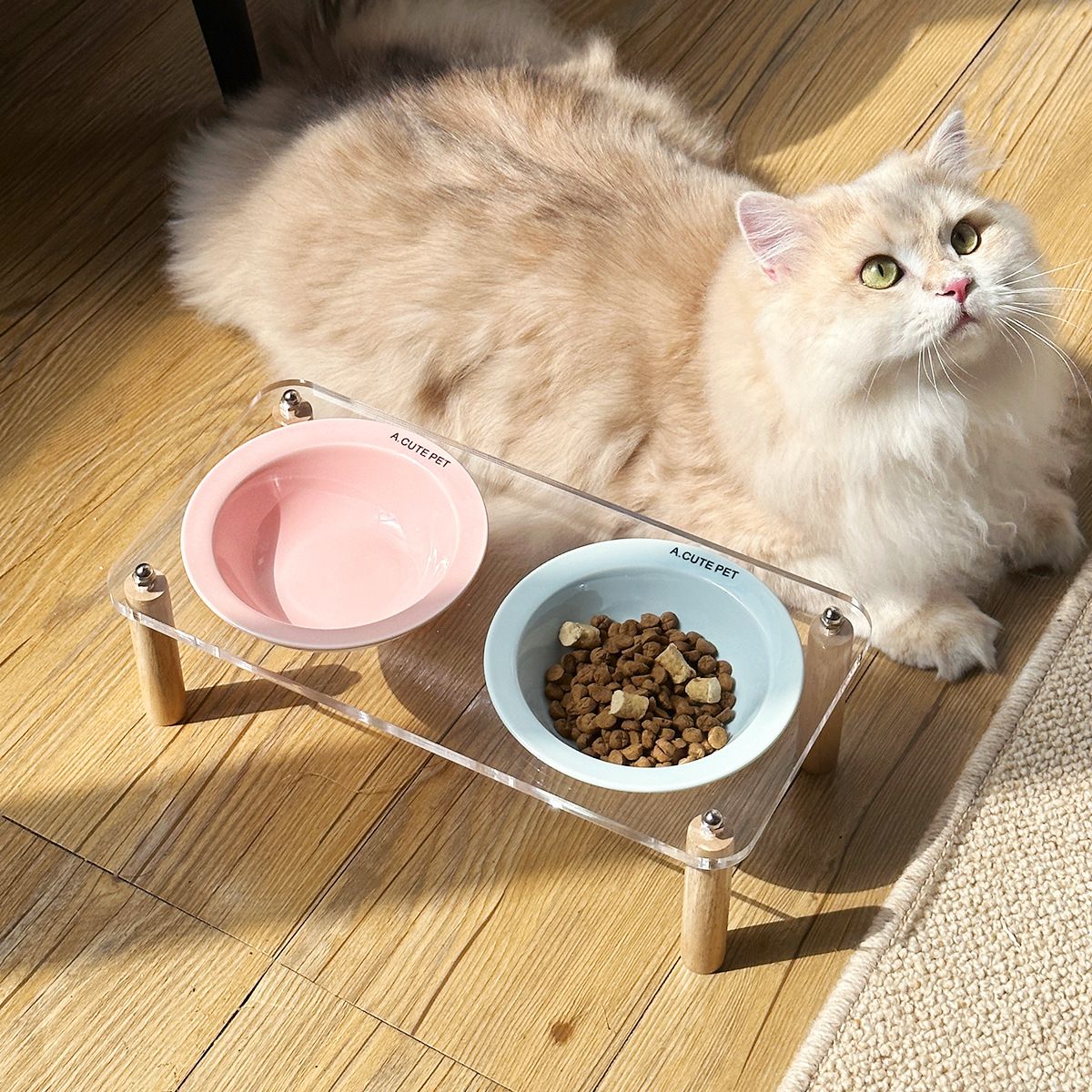 Elevated Ceramic Pet Feeding Bowl