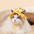 Knit Pet Hat Frog Design
