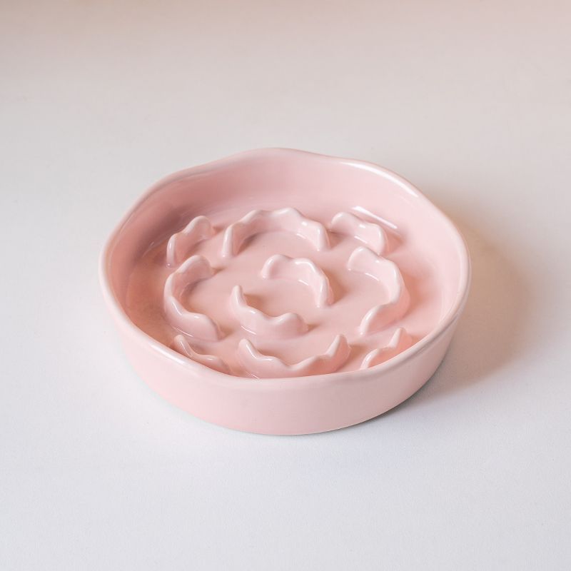 Ceramic Pet Slow Feeder Bowl