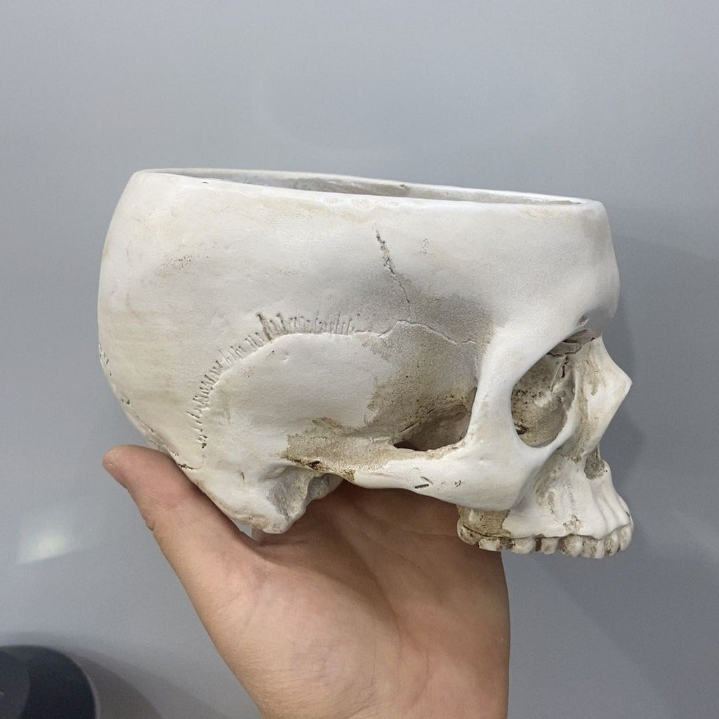 Open Skull Planter