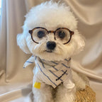 Pet Glasses Fun Photo Accessory