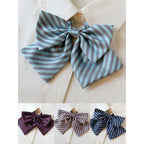 College Style Bow Tie - Modomu