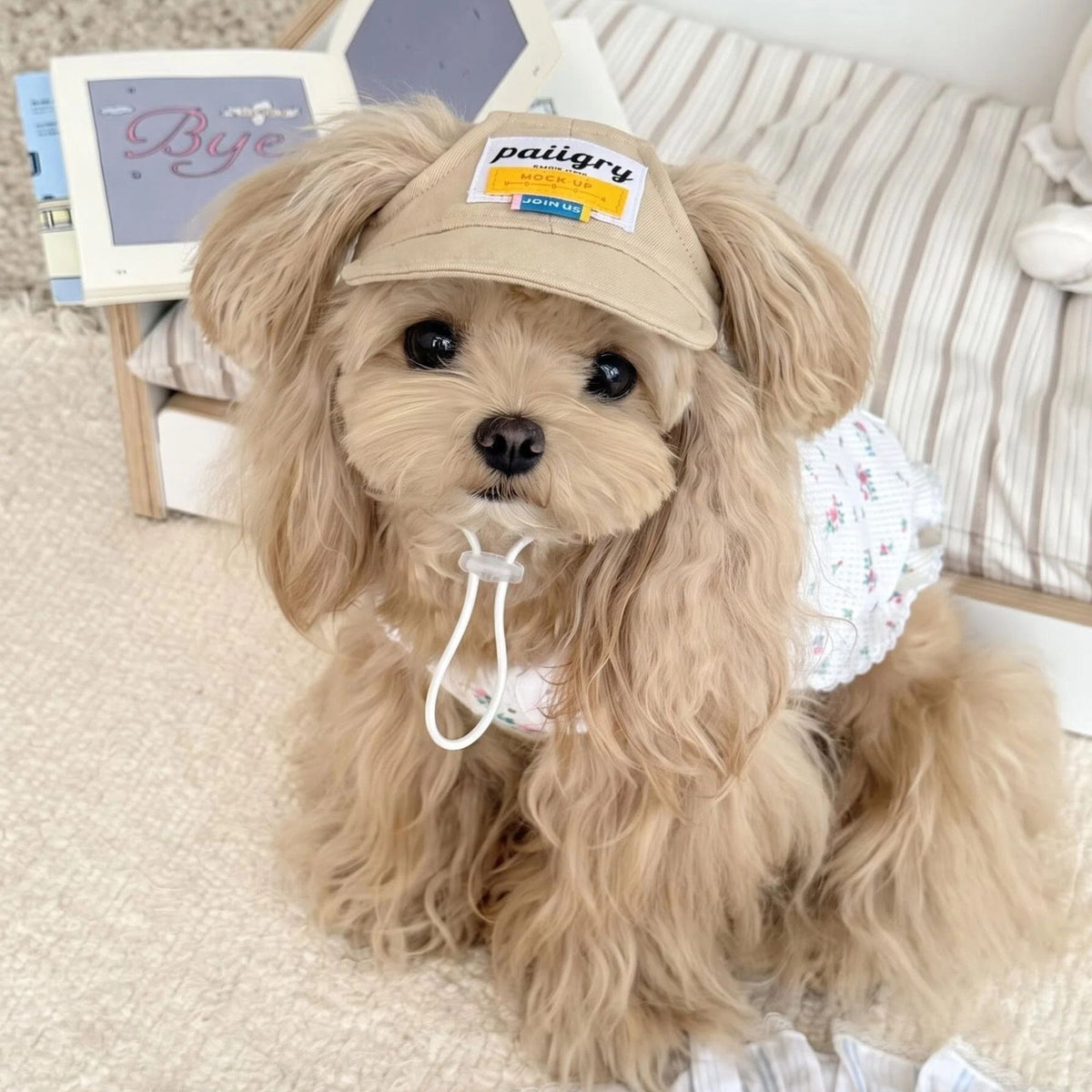 Ear Hole Pet Baseball Cap