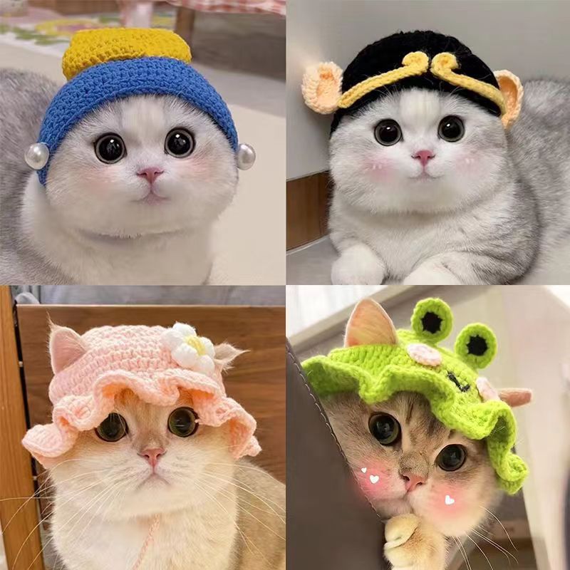 Knit Pet Hat Frog Design