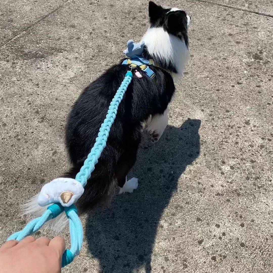 Braided Charm Dog Leash