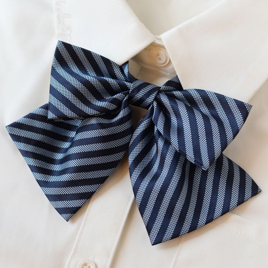 College Style Bow Tie - Modomu