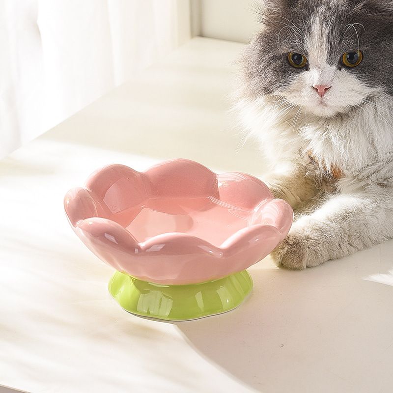 Ceramic Elevated Pet Food Bowl