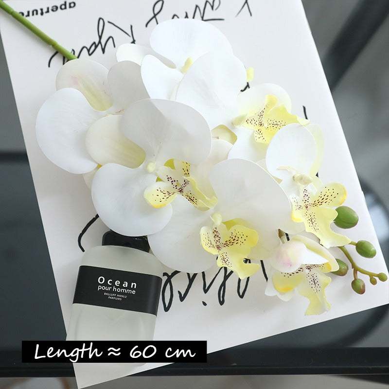 3D Phalaenopsis Faux Floral Arrangement - Modomu