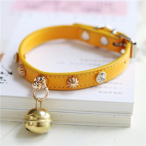 Minimalist Lifestyle Accessory Piece