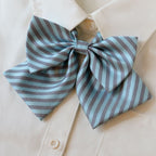 College Style Bow Tie - Modomu