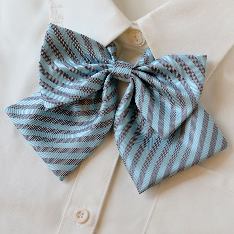 College Style Bow Tie - Modomu