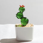 Glazed Cactus Glass Desk Ornament - Modomu