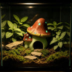 Mushroom Reptile Hide Cave