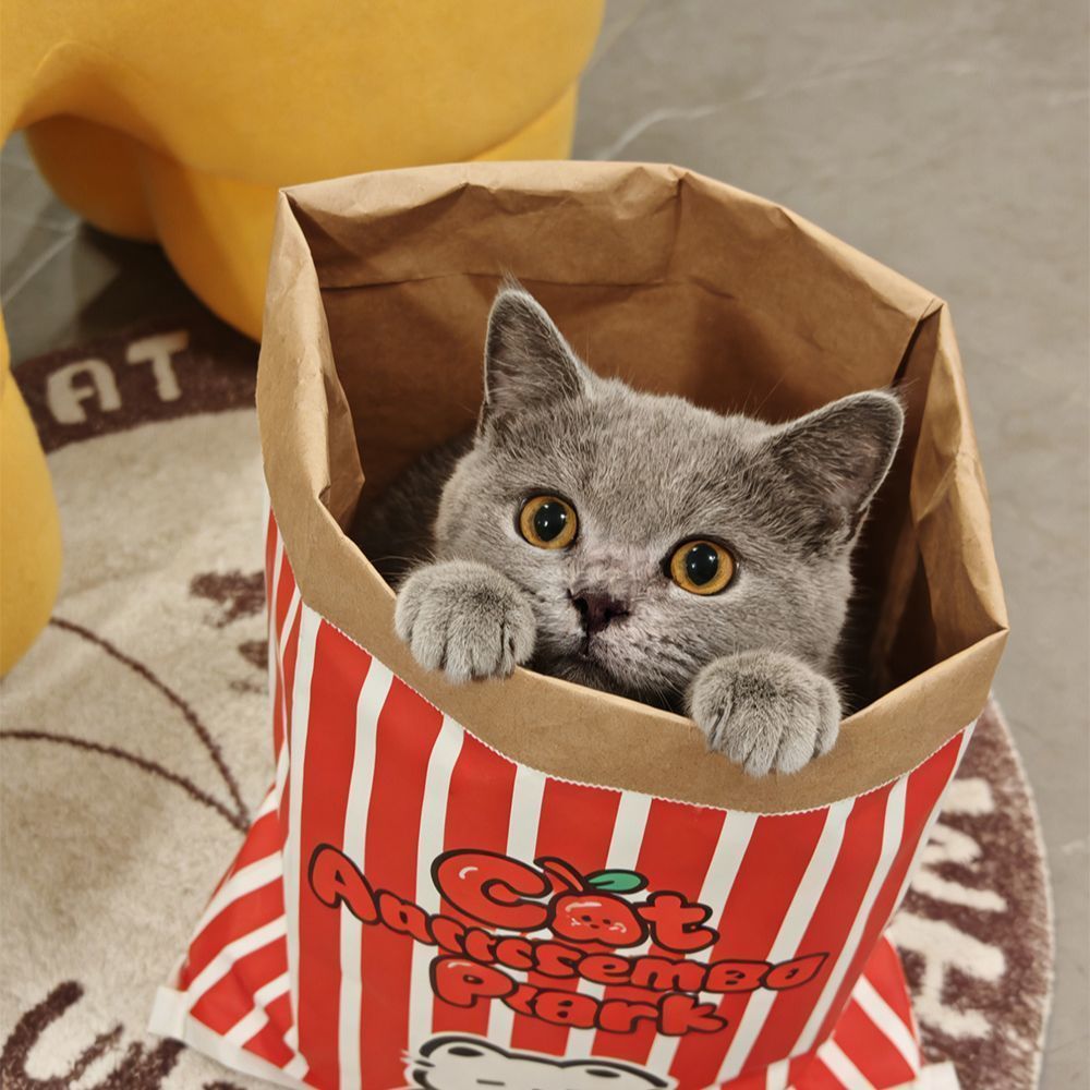 Crinkle Cat Hideout Sack