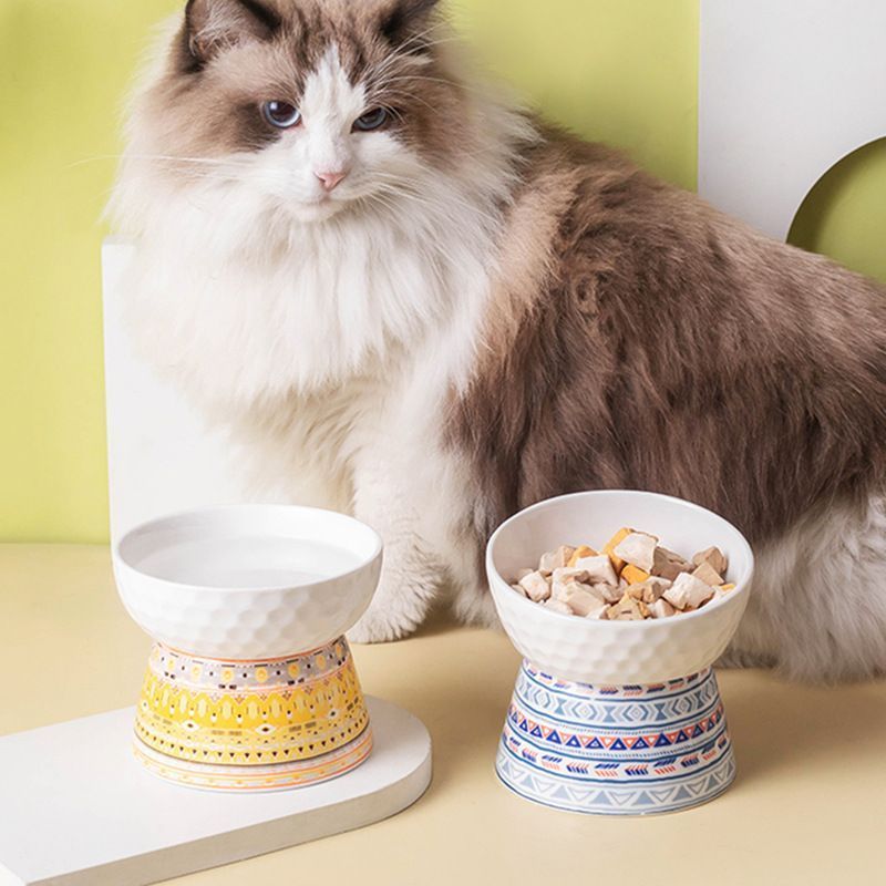 Elevated Ceramic Pet Feeding Bowl