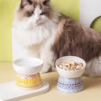 Elevated Ceramic Pet Feeding Bowl
