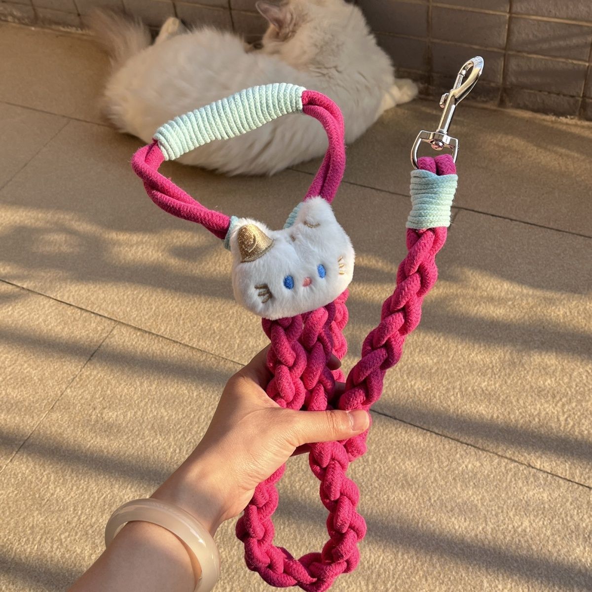 Braided Charm Dog Leash