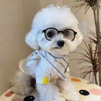 Small Dog Fashion Glasses