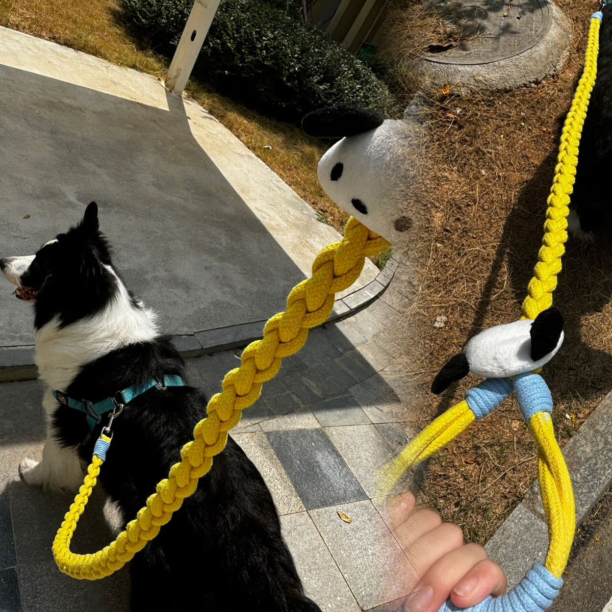 Braided Charm Dog Leash