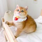 Handwoven Cat Collar Scarf