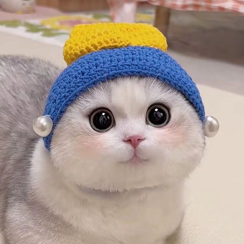Knit Pet Hat Frog Design
