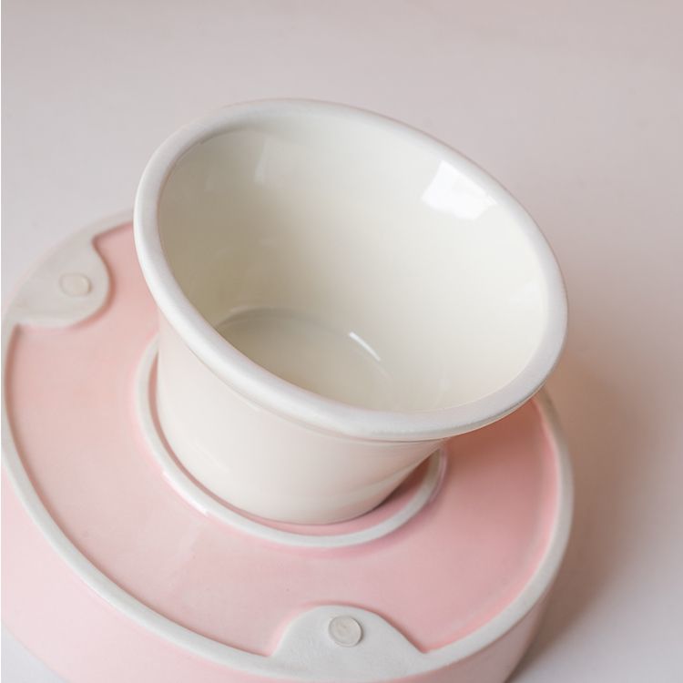 Ceramic Pet Slow Feeder Bowl