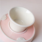Ceramic Pet Slow Feeder Bowl
