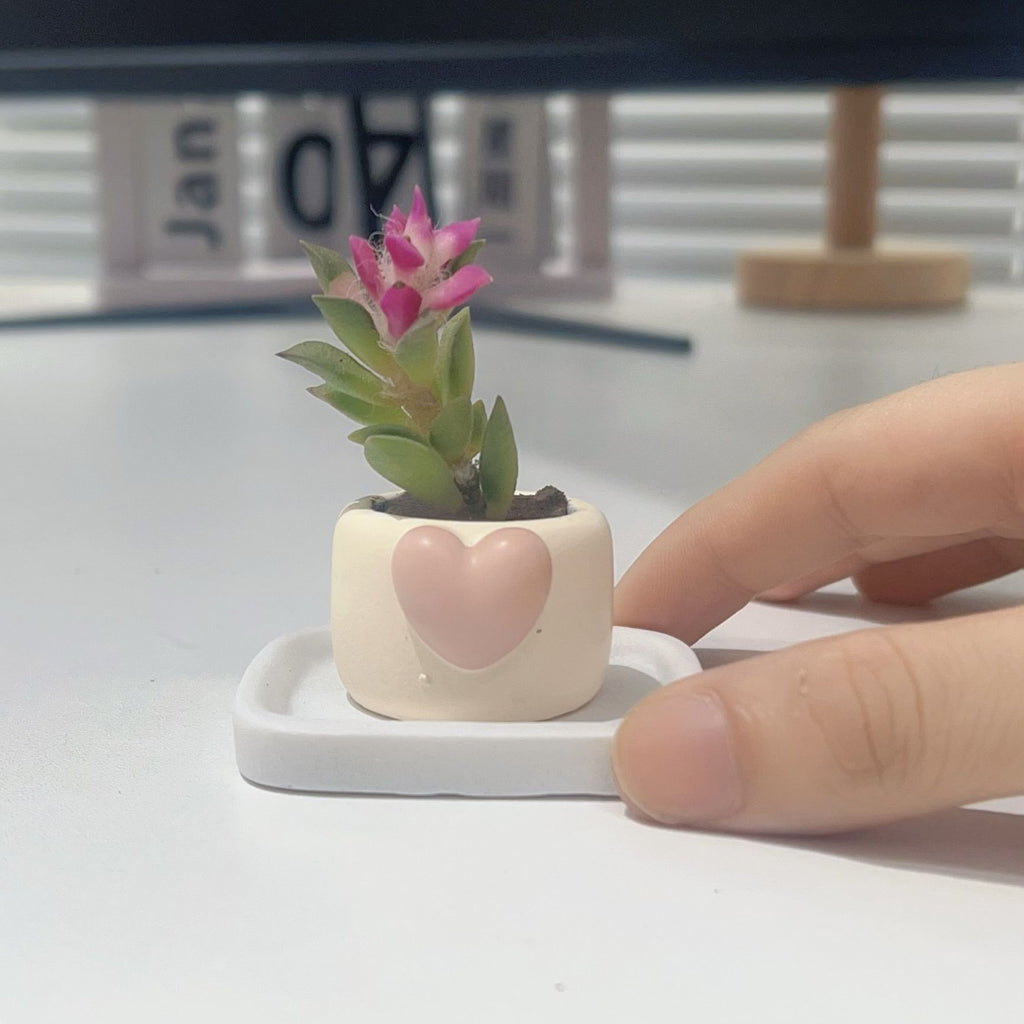 Mini Succulent Thumb Planter