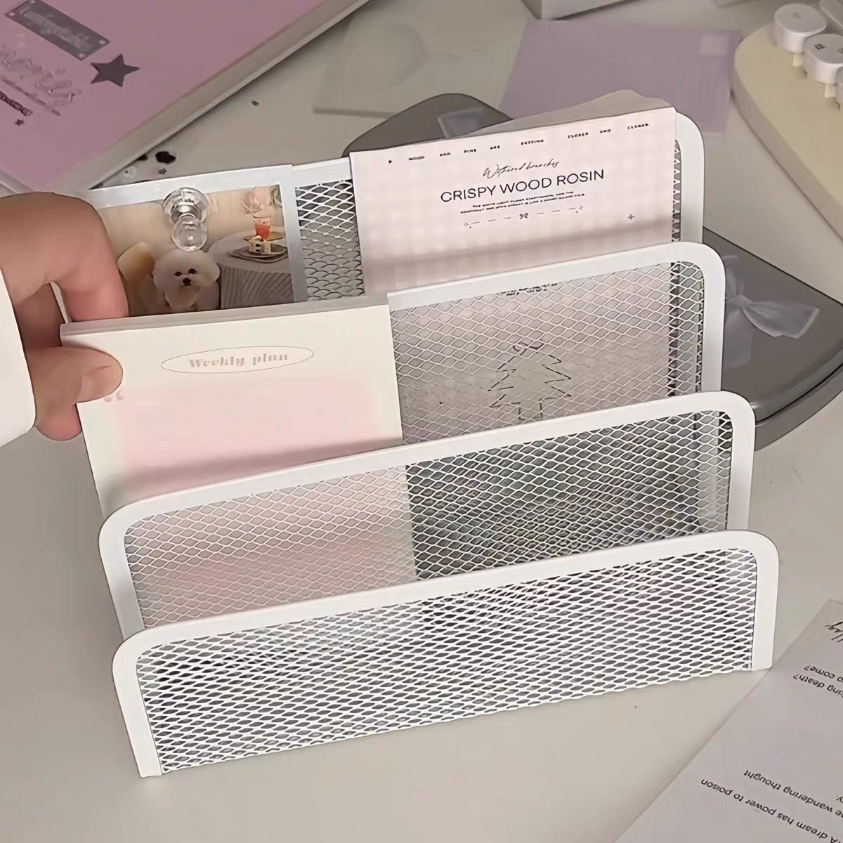 Mesh Desktop File Organizer Rack