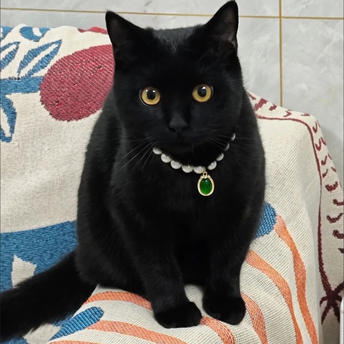 Pet Pearl Gemstone Necklace