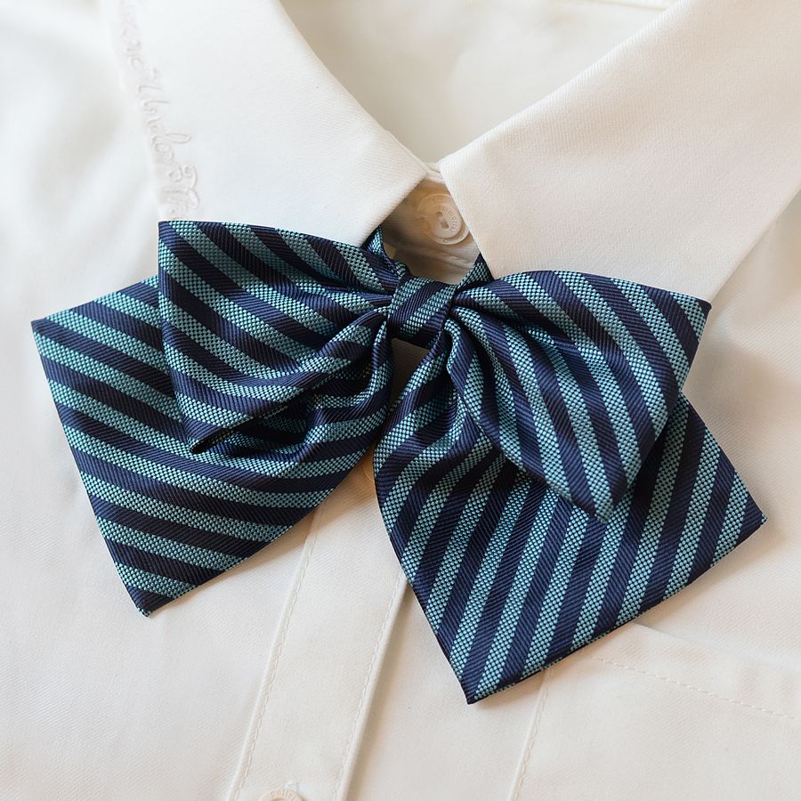 College Style Bow Tie - Modomu