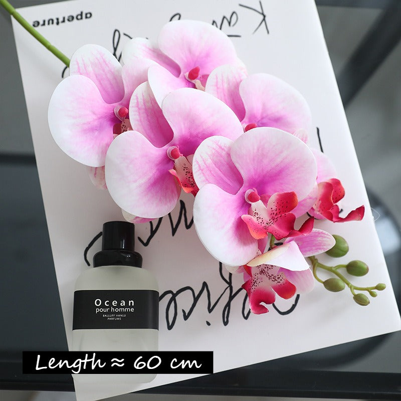 3D Phalaenopsis Faux Floral Arrangement - Modomu